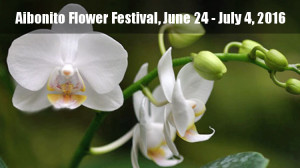 2016 aibonito flower festival