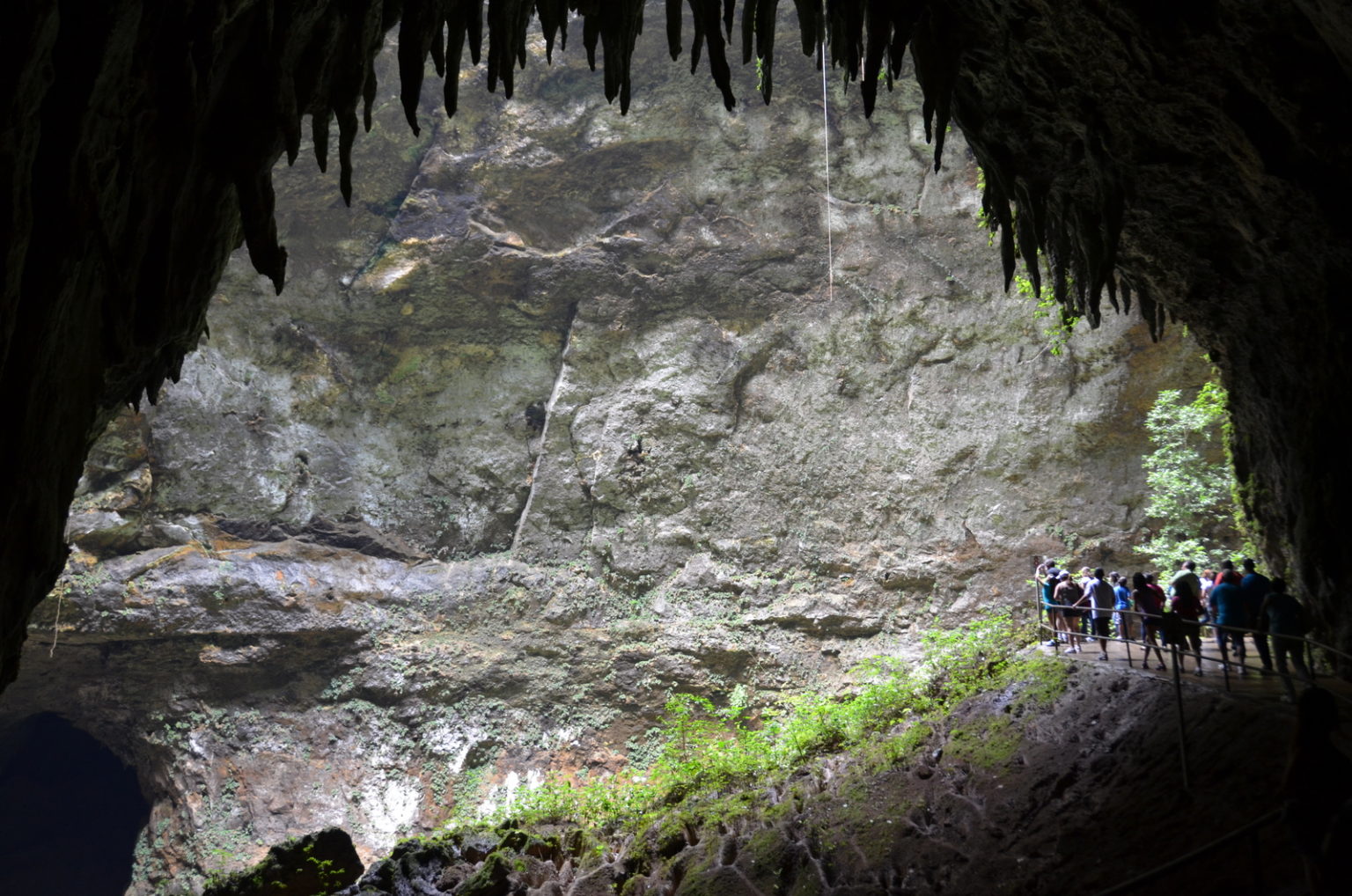 El Yunque Rainforest | Discovering Puerto Rico