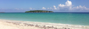 Vieques The Best Beaches