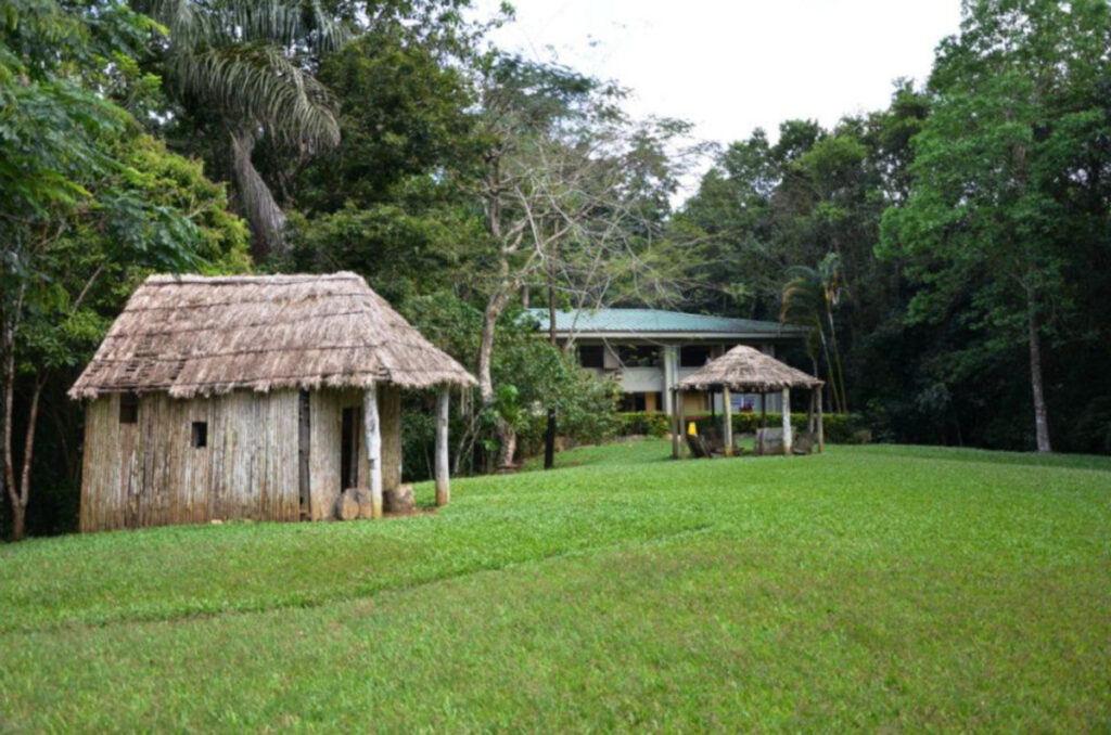 Nature and History Unite: The Wonders of Caguana Indigenous Ceremonial Park