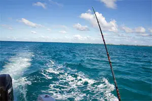 Deep Sea Fishing in Puerto Rico