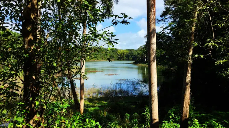 Departamento de Recursos Naturales y Ambientales (DRNA) Opening Some ...