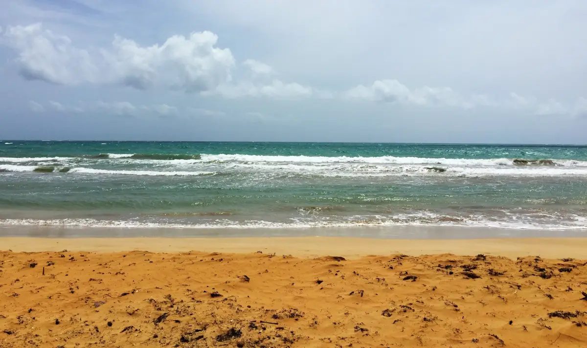 Pristine beach on Puerto rico's East Coast