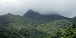 el yunque rainforest