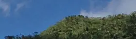 El Yunque Panorama from Yokahu Observation Tower