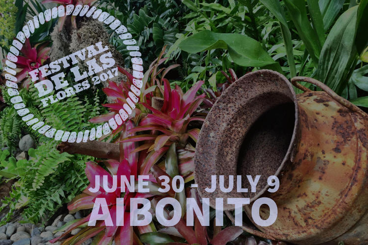 2017 Aibonito Flower Fetsival Discovering Puerto Rico
