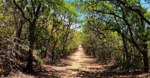 Hinking adventures in Guanica State Forest