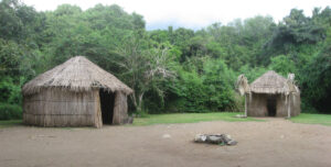 Taino living at thenCeremonial Indígena de Tibes